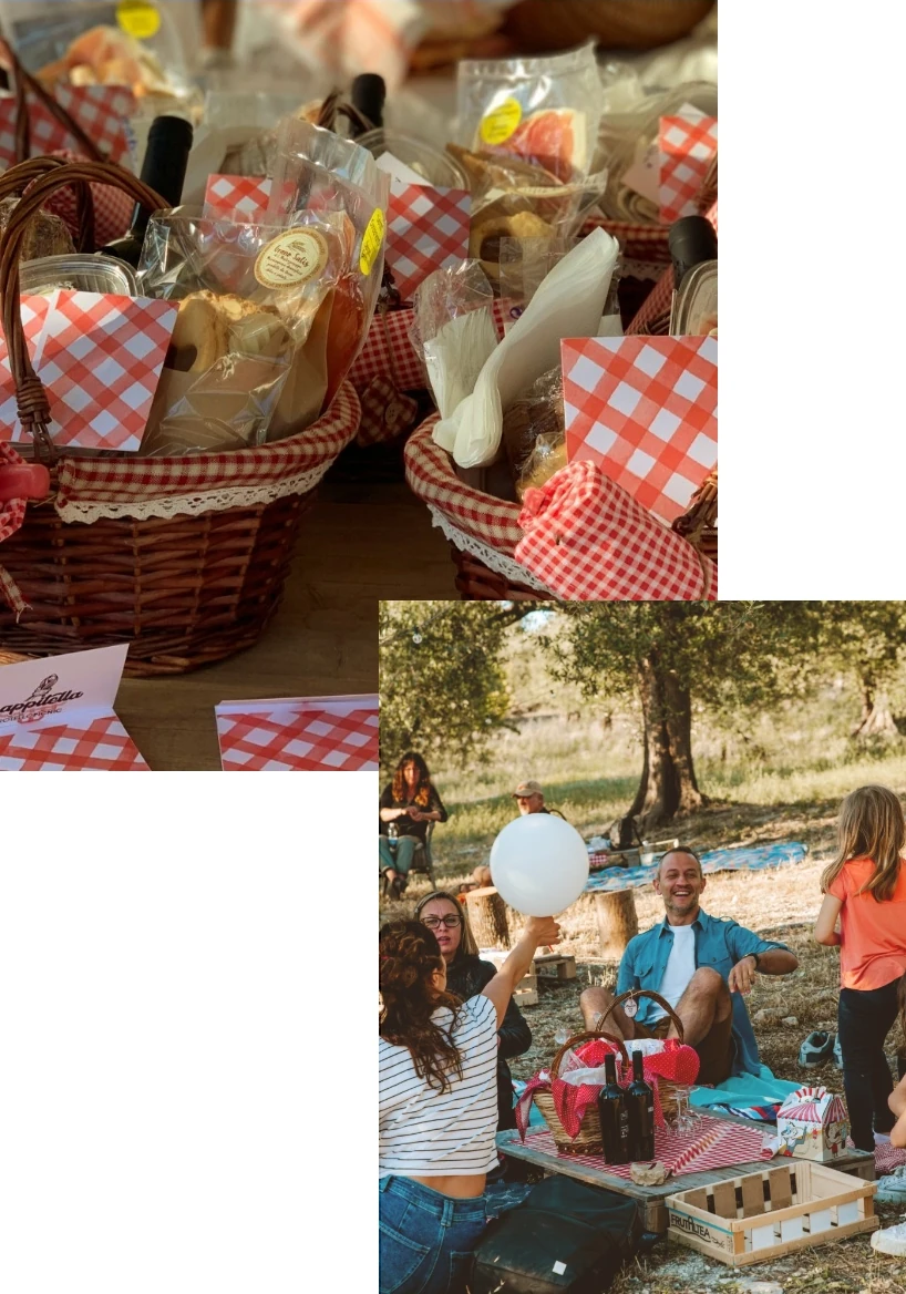 Picnic in oliveto